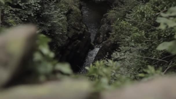 Cascata Aira Force Dell Inghilterra Visibile Dall Alto Che Circondato — Video Stock