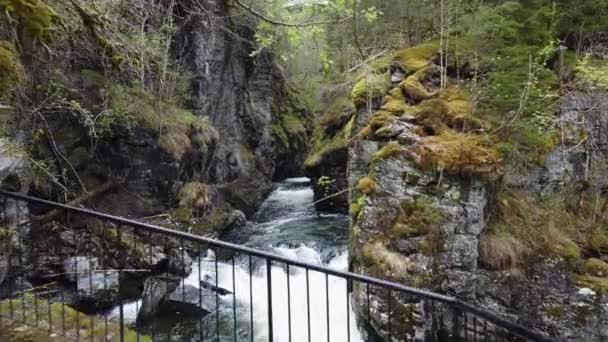 Voss Norveç Teki Bordalsgjelet Geçidi Voss Norveç Üzerinden Geçen Nehrin — Stok video