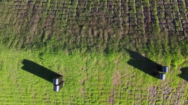 Toit Naturel Fait Gazon Herbe Avec Des Cheminées Collant Sur — Video