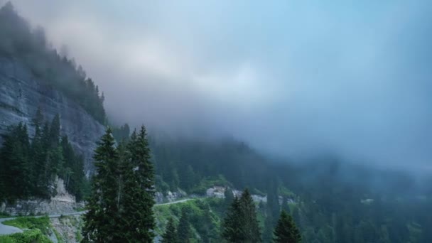 山の森の雲の動き 霧の霧が森の上に吹いている 運動時間の経過自然環境の背景 — ストック動画