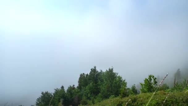 Wolkenbewegungen Über Dem Bergwald Nebelschwaden Ziehen Über Den Wald Bewegungszeitraffer — Stockvideo