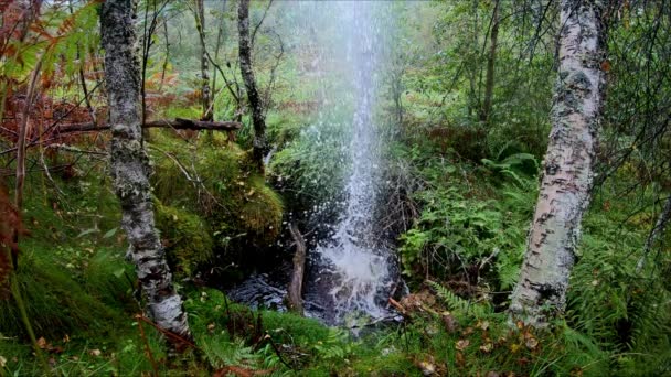 投射物は小さな水流に当たり 動きのような爆発で空気中に水が破裂する 木と緑の間の空気中に上昇する水の動きが遅い — ストック動画