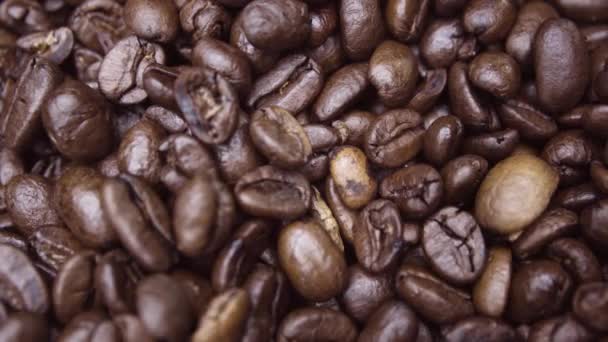Clasificación Mano Surtido Granos Café Orgánicos Oscuros Aromáticos Tostados Suaves — Vídeos de Stock