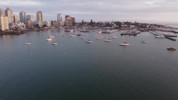 Punta Del Este Stadsstrand Uruguay Bij Zonsondergang Met Havengebied Wolkenkrabbers — Stockvideo