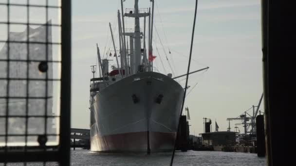 Yüzbaşı San Diego Sabahın Erken Saatlerinde Hamburg Elbphilharmonie Nin Önüne — Stok video