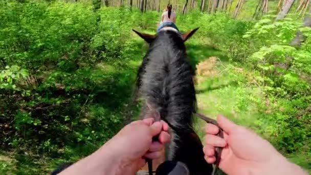 Ridning Pov Person Holding Rein While Riding Horse Forest — Stockvideo