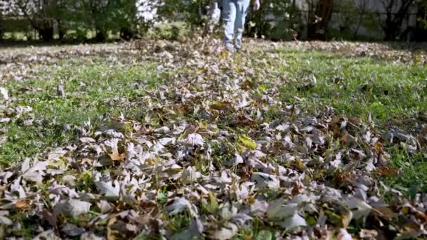 カメラに向かって庭の庭で静的なショット男性の打撃秋の葉 スローモーション — ストック動画