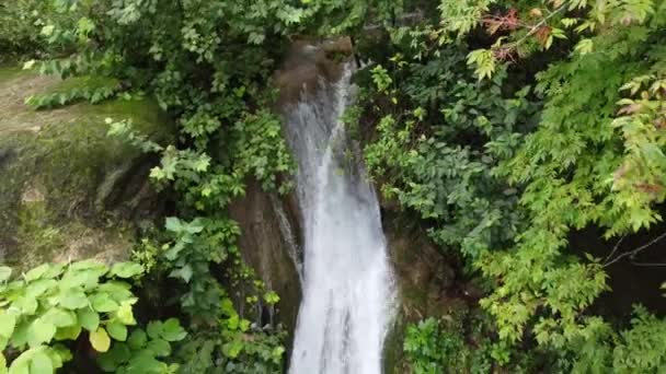 Водопад Естественным Образом Падает Джунглях — стоковое видео