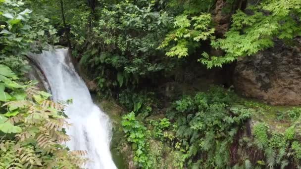 Водопад Середине Джунглей — стоковое видео