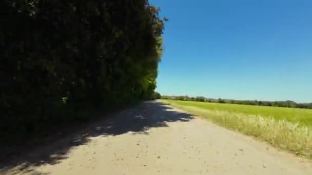 Pov Výstřel Řídítek Silničního Cyklisty Jedoucího Stromě Odlehlé Venkovské Silnice — Stock video
