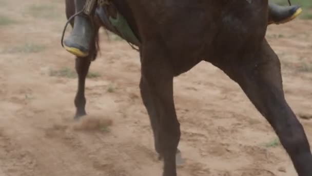 Super Närbild Slow Motion Skott Ryttare Deras Häst Galopperande Genom — Stockvideo