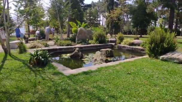 Menschen Genießen Einem Sonnigen Nachmittag Die Natur Teich Umgeben Von — Stockvideo