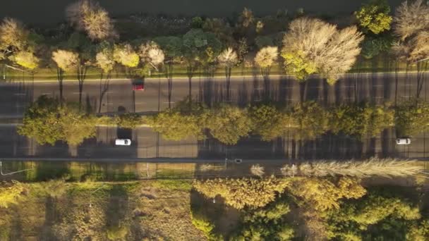 Vista Aérea Cima Para Baixo Bulevar Durante Pôr Sol — Vídeo de Stock