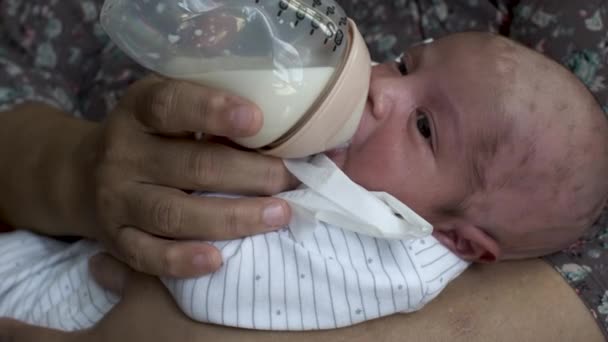 Close Shot Newborn Infant Baby Cradled His Mothers Arms Feeding — Stock Video