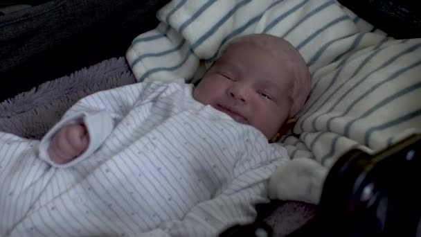 幼児の車のベッドで愛らしい新生児の男の子目覚め約Wriggling ロックオフ — ストック動画