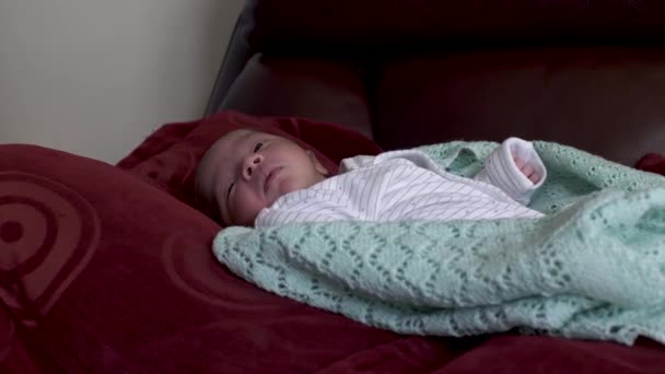 잠에서 깨어난 소파에 귀여운 갓난아기의 — 비디오