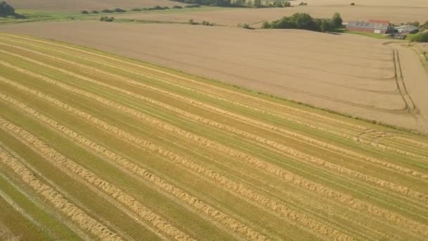 Luchtdrone Zicht Stro Het Veld Landbouwgrond Oogstseizoen — Stockvideo