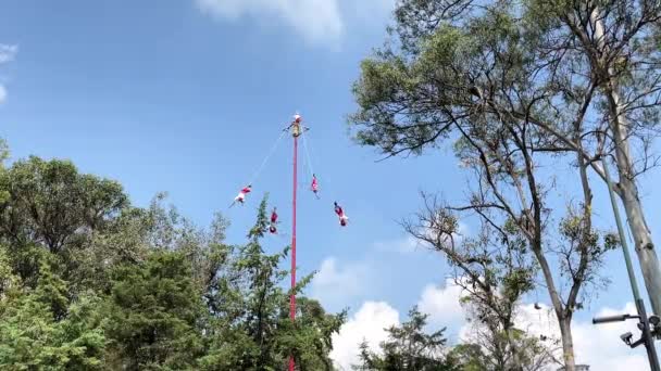 Vzdálený Zpomalený Pohled Show Tradičních Voladores Papantla Mexickém Městě — Stock video