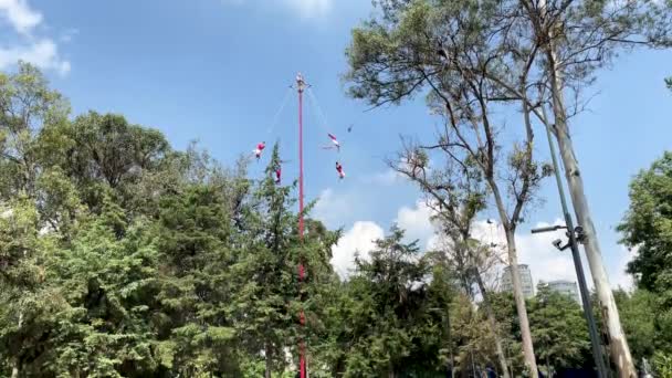 Tiro Câmera Lenta Dos Voladores Tradicionais Papantla Perto Cidade México — Vídeo de Stock