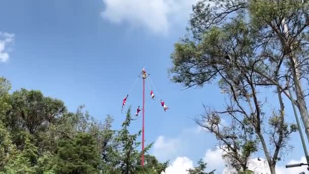 Vista Lejana Cámara Lenta Del Espectáculo Los Tradicionales Voladores Papantla — Vídeo de stock