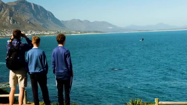 Tata Synowie Wieloryby Obserwują Malowniczych Klifów Hermanus Wyłomów Wielorybów — Wideo stockowe