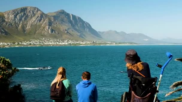 Lady Wheelchair Hermanus Coastline Vantage Point Doing Land Based Whale — Stock Video