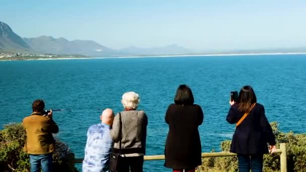 観光客が崖から見ているようにウォーカー湾のクジラの侵害 Hermanus — ストック動画