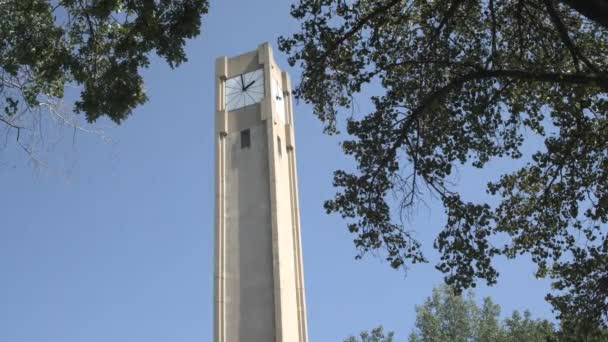 Northwestern University Clock Tower Κοιτάζοντας Πάνω — Αρχείο Βίντεο