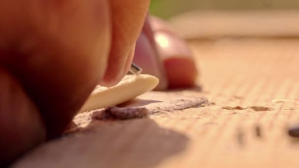 ビキング時代の骨のヘアピンを彫るためにノミを使用して 孤立繊細な作品 — ストック動画
