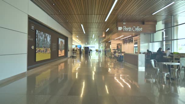 Peets Café Terminal Aéroport Phx Phoenix Sky Harbor — Video