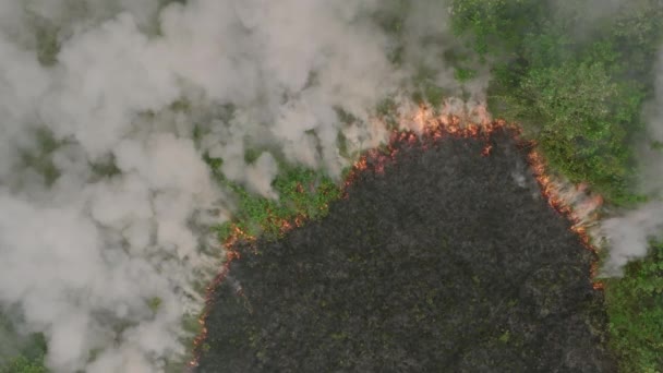 Imágenes Aéreas Arriba Hacia Abajo Incendio Forestal Sierra Leona Rural — Vídeo de stock