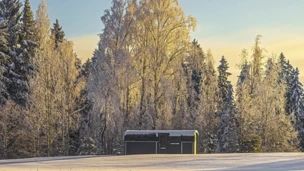 Timelaspe Modulaire Blokhut Een Ijsoverdekt Bevroren Bos Eco Toerisme Concept — Stockvideo