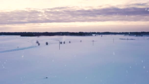 Ändlöst Landsbygdslandskap Täckt Vit Snö Snöfall Flygutsikt — Stockvideo