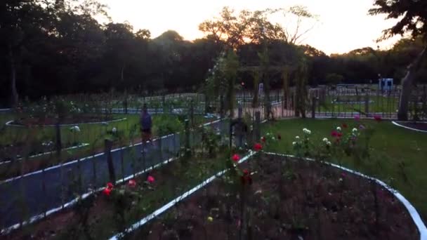 Supere Tiro Jardim Impressionante Flores Florescendo Caminhos Bonitos Coração Natureza — Vídeo de Stock