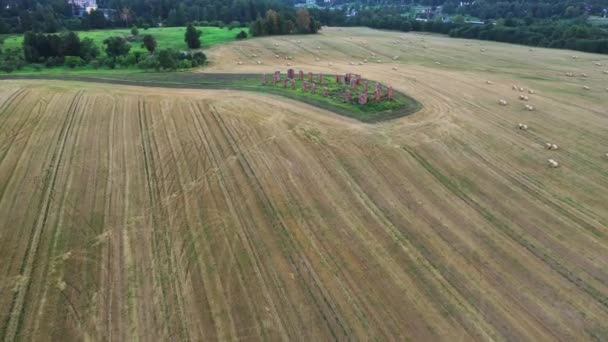 小麦畑や干し草に囲まれたスマイルテン石 視界に向かって飛ぶ航空機 — ストック動画