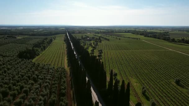 Авиационное Видео Viale Dei Cipressi Болгери Италия Четырехкилометровая Дорога Кипарисами — стоковое видео