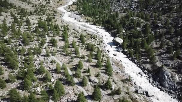 Alpes Suisses Vallée Montagne Forêt Sapins Ruisseau Montagne Drone Vue — Video