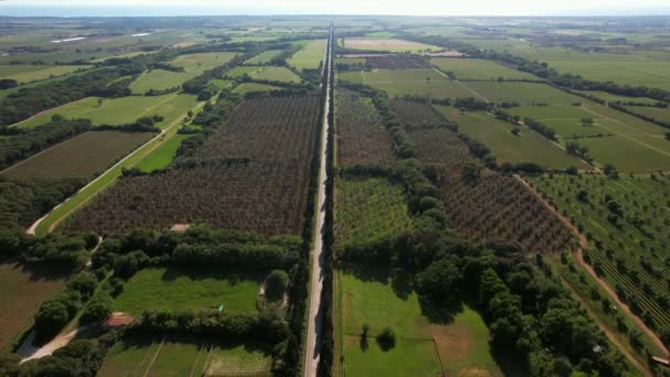 Flygfoto Viale Dei Cipressi Bolgheri Italien Fyra Kilometer Lång Väg — Stockvideo