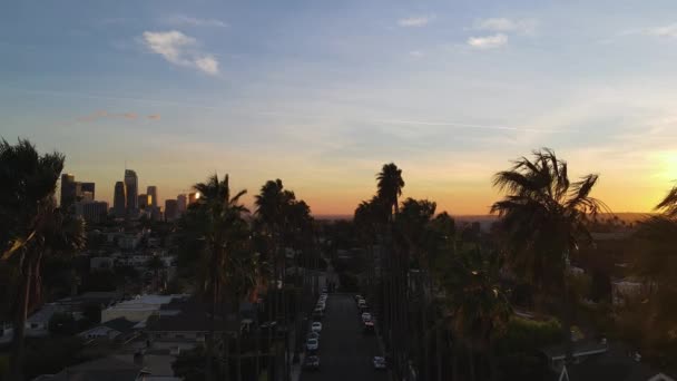 Flygfoto Genom Palmer Mot Solljuset Los Angeles Skyline Usa — Stockvideo