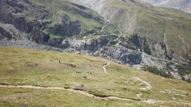 Inclinez Vous Cervin Pic Enneigé Montagne Bien Connu Été Prairies — Video