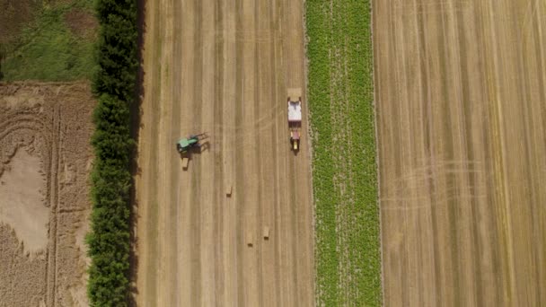 Landbouwers Het Veld Die Trekkers Met Hooibaalbelasting Besturen — Stockvideo