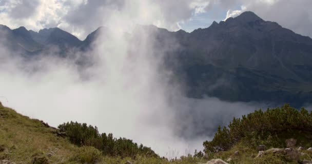 谷の山の中を霧が流れる時も終わりには完全に霧に包まれます — ストック動画