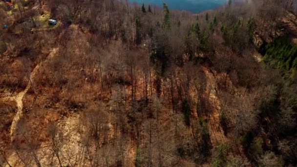 Arieel Uitzicht Forest Zweden Europa Scandinavië Heldere Lucht — Stockvideo