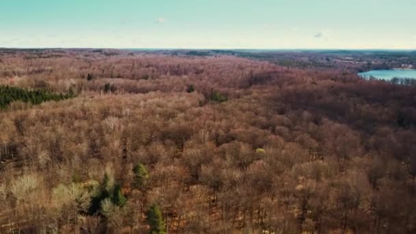 Vista Arrial Sobre Bosque Sueco Otoño Escandinavia Europa Suecia — Vídeo de stock