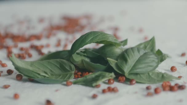 罗勒的叶子被放在白色桌布上 红辣椒浆果装饰着整个场景 一只手伸进去拿起一片叶子 — 图库视频影像