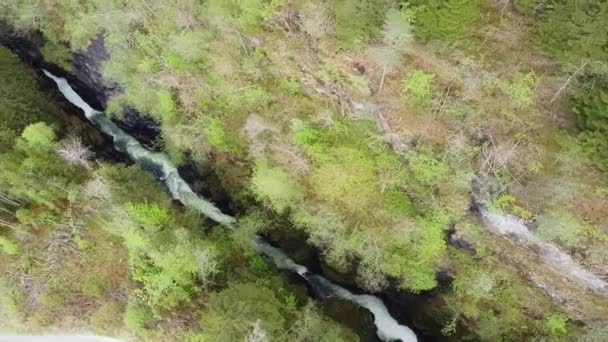 Voss Norveç Teki Ünlü Bordalsgjelet Geçidi Nin Havadan Görünüşü Birdeye — Stok video