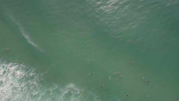 Vue Oeil Oiseau Sur Les Surfeurs Duranbah Beach Tweed Heads — Video