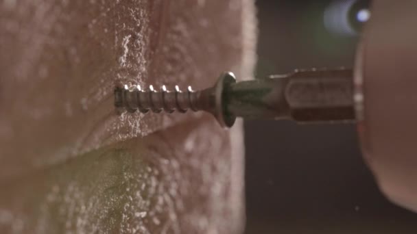 Fixação Parafuso Madeira Com Uma Broca Elétrica Carpintaria Macro — Vídeo de Stock
