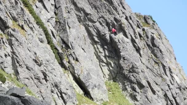 Yalnız Dağcı Yavaşça Dik Duvara Tırmanır Miğfer Halatlarla Boulder Telephoto — Stok video