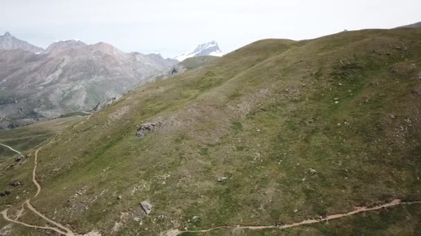 Drone Vue Aérienne Une Prairie Herbe Dans Les Alpes Suisses — Video